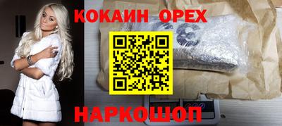 apvp Гатчина