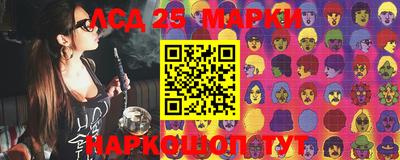 apvp Гатчина