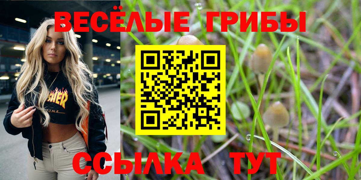 Галлюциногенные грибы прущие грибы  Псилоцибиновые грибы Psilocybine cubensis  Заинск  Вход с VPN 